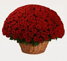 Премиум букет из: Розы в Воскресенской